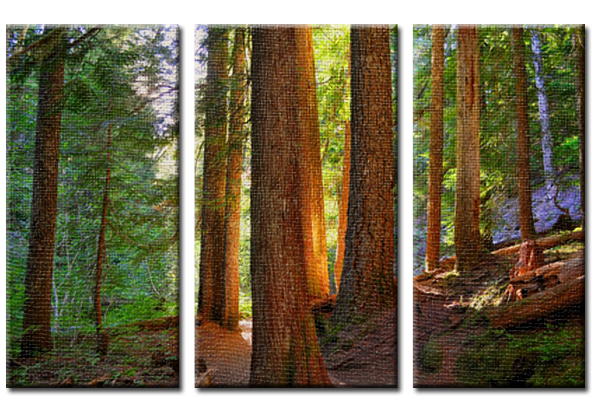 Wooden Warmth (Triptych).png